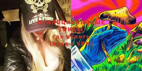 гидра Лагань