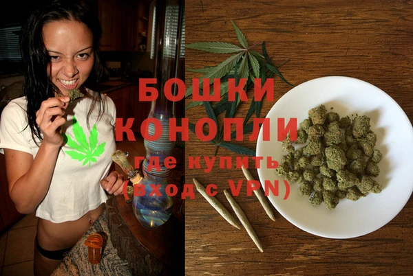 гидра Лагань